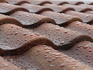 Traitement par minéralisation des toitures