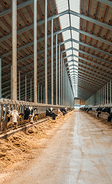 Minéralisation des bâtiments agricoles